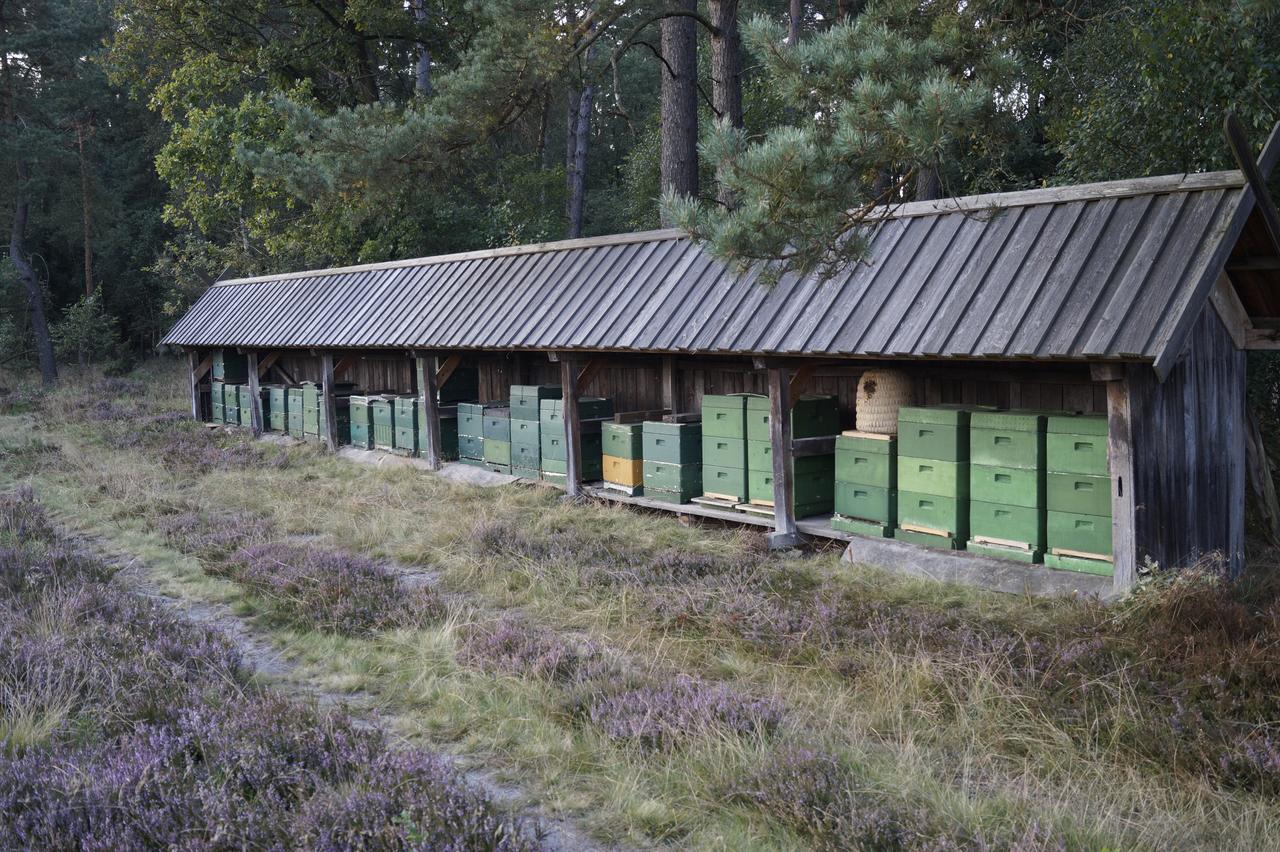 Ferienwohnungen / Ferienhaus Wahlers Bispingen Exterior foto