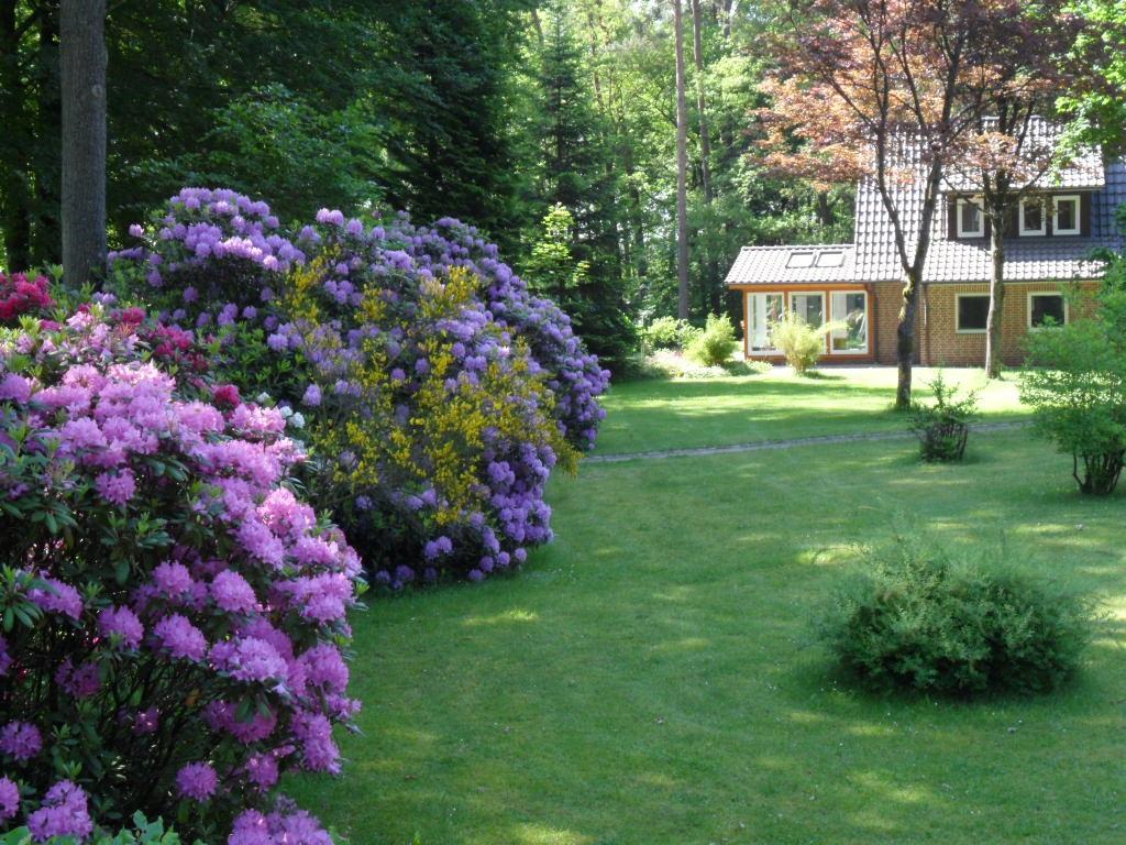 Ferienwohnungen / Ferienhaus Wahlers Bispingen Exterior foto